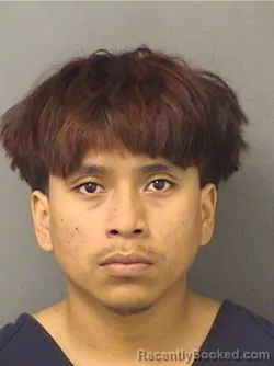 Mugshot of KANE GOMEZ booked in Palm Beach County, Florida on March 26, 2026