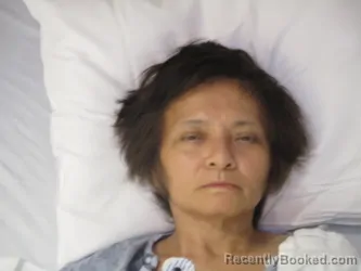 Mugshot of DONNA THI NGUYEN booked in Palm Beach County, Florida on March 26, 2026