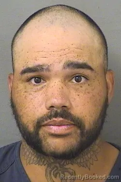 Mugshot of TRISTAN S DAVIS booked in Palm Beach County, Florida on March 26, 2026