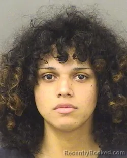 Mugshot of GIOVANNIE MARRERO booked in Palm Beach County, Florida on March 27, 2026