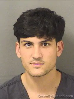 Mugshot of LUCCA SAARBREGOLATO booked in Palm Beach County, Florida on March 27, 2026