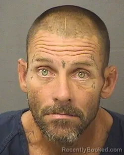 Mugshot of JEFFREY MICHAEL STOUT booked in Palm Beach County, Florida on March 27, 2026