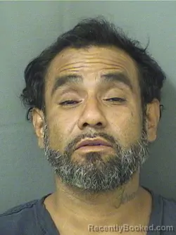 Mugshot of FERNANDO GONZALEZ booked in Palm Beach County, Florida on March 28, 2026
