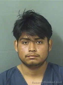 Mugshot of WUALTER CHALES booked in Palm Beach County, Florida on March 28, 2026