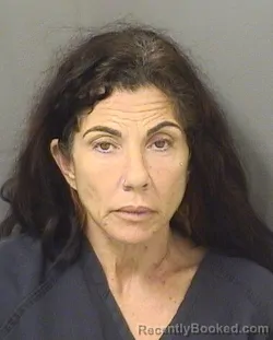 Mugshot of AMY SUZANNE MCGOLDRICK booked in Palm Beach County, Florida on March 28, 2026
