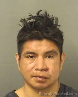 Mugshot of EDMIN JIMENEZCARILLO booked in Palm Beach County, Florida on March 28, 2026