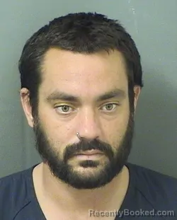 Mugshot of JOSE VILLARINI booked in Palm Beach County, Florida on March 28, 2026