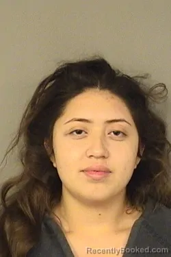 Mugshot of EMILY TOLEDO booked in Palm Beach County, Florida on March 28, 2026