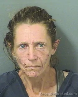 Mugshot of JENNIFER ROSE CHAPLIN booked in Palm Beach County, Florida on March 28, 2026