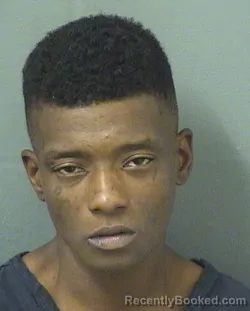 Mugshot of CHELSEA ROWNIQUEMONET TERRY booked in Palm Beach County, Florida on March 28, 2026