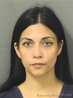 Mugshot of LOURI PEREZ booked in Palm Beach County, Florida on March 28, 2026