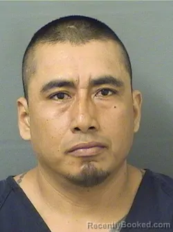 Mugshot of PEDRO MONTANOLAGUNAS booked in Palm Beach County, Florida on March 28, 2026