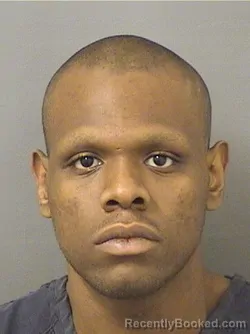 Mugshot of DAMIEN LUC booked in Palm Beach County, Florida on March 28, 2026