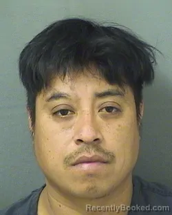 Mugshot of EMILIANO GOMEZHERNANDEZ booked in Palm Beach County, Florida on March 28, 2026