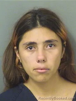 Mugshot of SHEILA CALLEJA booked in Palm Beach County, Florida on March 29, 2026