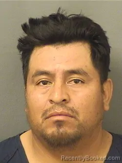 Mugshot of ELFIDO VELASQUEZVELASQUEZ booked in Palm Beach County, Florida on March 29, 2026