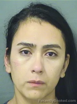 Mugshot of DIANA YARLIN VALENTIN booked in Palm Beach County, Florida on March 29, 2026