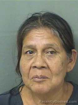 Mugshot of FLORIDALMA NIZRAMIREZ booked in Palm Beach County, Florida on March 29, 2026