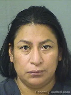 Mugshot of DAMARIS M VASQUEZXEC booked in Palm Beach County, Florida on March 29, 2026