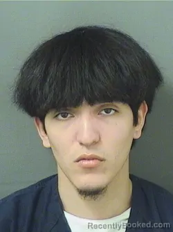 Mugshot of LUIS FERNANDO LORA MARTINEZ booked in Palm Beach County, Florida on March 30, 2026
