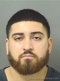 Mugshot of DEREK JOSEPH NIEVESALBINO booked in Palm Beach County, Florida on March 30, 2026