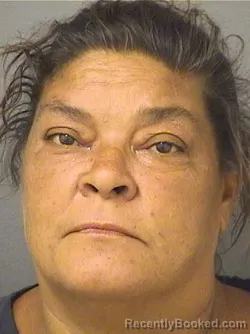 Mugshot of DOROTHY ELIZABETH ROMAN booked in Palm Beach County, Florida on March 30, 2026