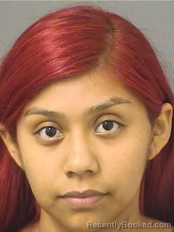 Mugshot of BRIANNA CARBAJAL booked in Palm Beach County, Florida on March 30, 2026