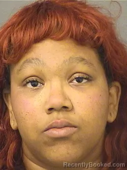 Mugshot of NADINE KALA BHEBE booked in Palm Beach County, Florida on March 30, 2026