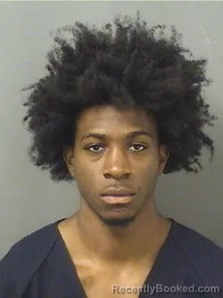 Mugshot of CRAIG CALLOWAY booked in Palm Beach County, Florida on March 31, 2026