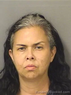 Mugshot of NINETTE F COLACO booked in Palm Beach County, Florida on April 1, 2026