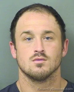 Mugshot of DYLAN JAKE FREEMAN booked in Palm Beach County, Florida on April 1, 2026