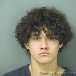 Mugshot of ANDREW JAMES MADISON booked in Palm Beach County, Florida on April 1, 2026