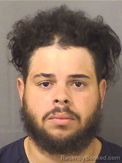 Mugshot of WILTON VIRGILIO ABREU booked in Palm Beach County, Florida on April 2, 2026