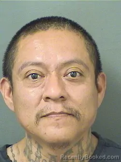 Mugshot of INES J ANDRES booked in Palm Beach County, Florida on April 2, 2026