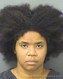 Mugshot of YAZAVELIS TAINA ALFONSECA booked in Palm Beach County, Florida on April 2, 2026