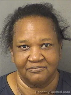 Mugshot of CYNTHIA ANN MOODY booked in Palm Beach County, Florida on April 2, 2026
