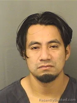 Mugshot of PEDRO ALVARADO booked in Palm Beach County, Florida on April 3, 2026