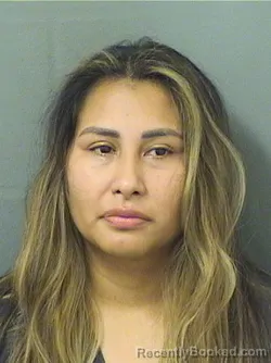 Mugshot of JAQUELINE ALMIDON booked in Palm Beach County, Florida on April 3, 2026