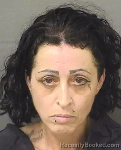 Mugshot of CARRIE ANN RODERICK booked in Palm Beach County, Florida on April 3, 2026