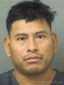 Mugshot of EDWIN ROCAEL JUAREZSALES booked in Palm Beach County, Florida on April 3, 2026