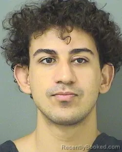 Mugshot of ADAM AHNICH booked in Palm Beach County, Florida on April 3, 2026