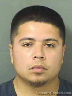 Mugshot of LUIS ZECCA booked in Palm Beach County, Florida on April 3, 2026