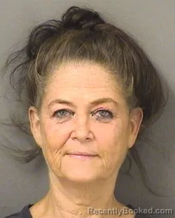 Mugshot of SANDRA STRICKLAND booked in Palm Beach County, Florida on April 3, 2026