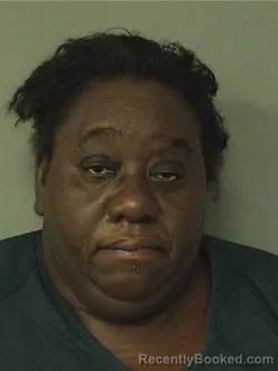 Mugshot of DIANE PERRY booked in Palm Beach County, Florida on April 4, 2026