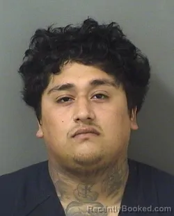 Mugshot of BRIAN REYESHERNANDEZ booked in Palm Beach County, Florida on April 5, 2026