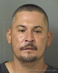 Mugshot of FABIAN ANGEL ROSARIO booked in Palm Beach County, Florida on April 5, 2026