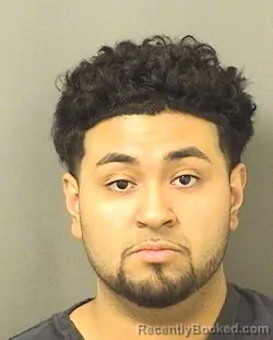 Mugshot of NOEL MARCELO RUIZ booked in Palm Beach County, Florida on April 11, 2026