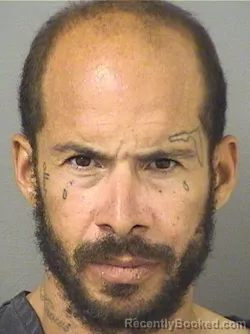 Mugshot of ALEX JOSEPH MEITH booked in Palm Beach County, Florida on April 20, 2026