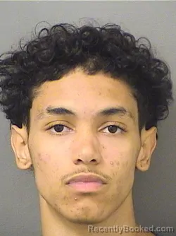 Mugshot of BRAYDON DAVIS booked in Palm Beach County, Florida on April 21, 2026