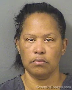 Mugshot of NATASHA MARIE HANSON booked in Palm Beach County, Florida on April 22, 2026